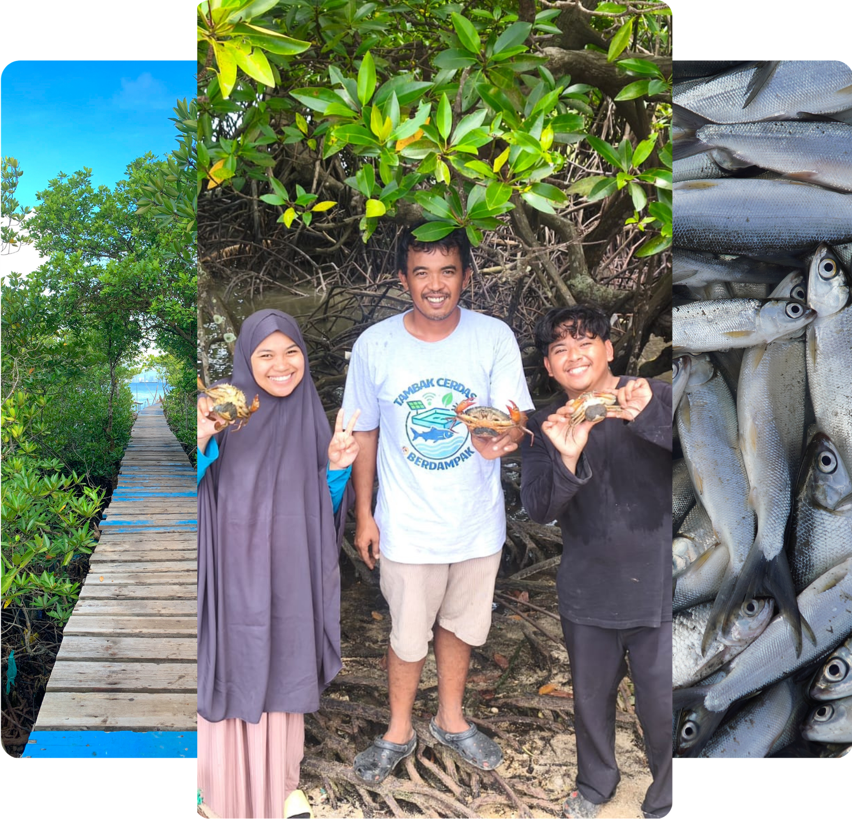 Desain Grafis Gallery